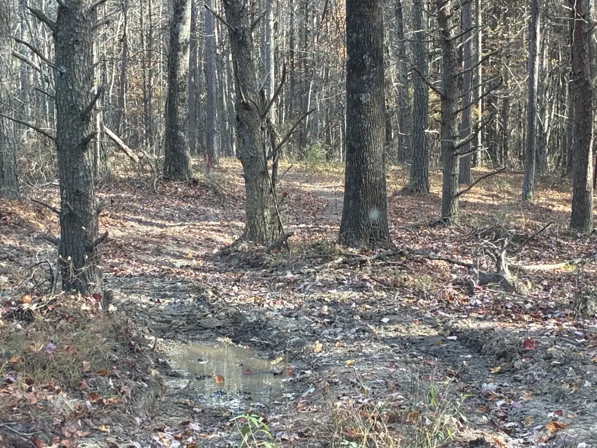 360 Bootleg Bend, Guild, TN 37340 - #1