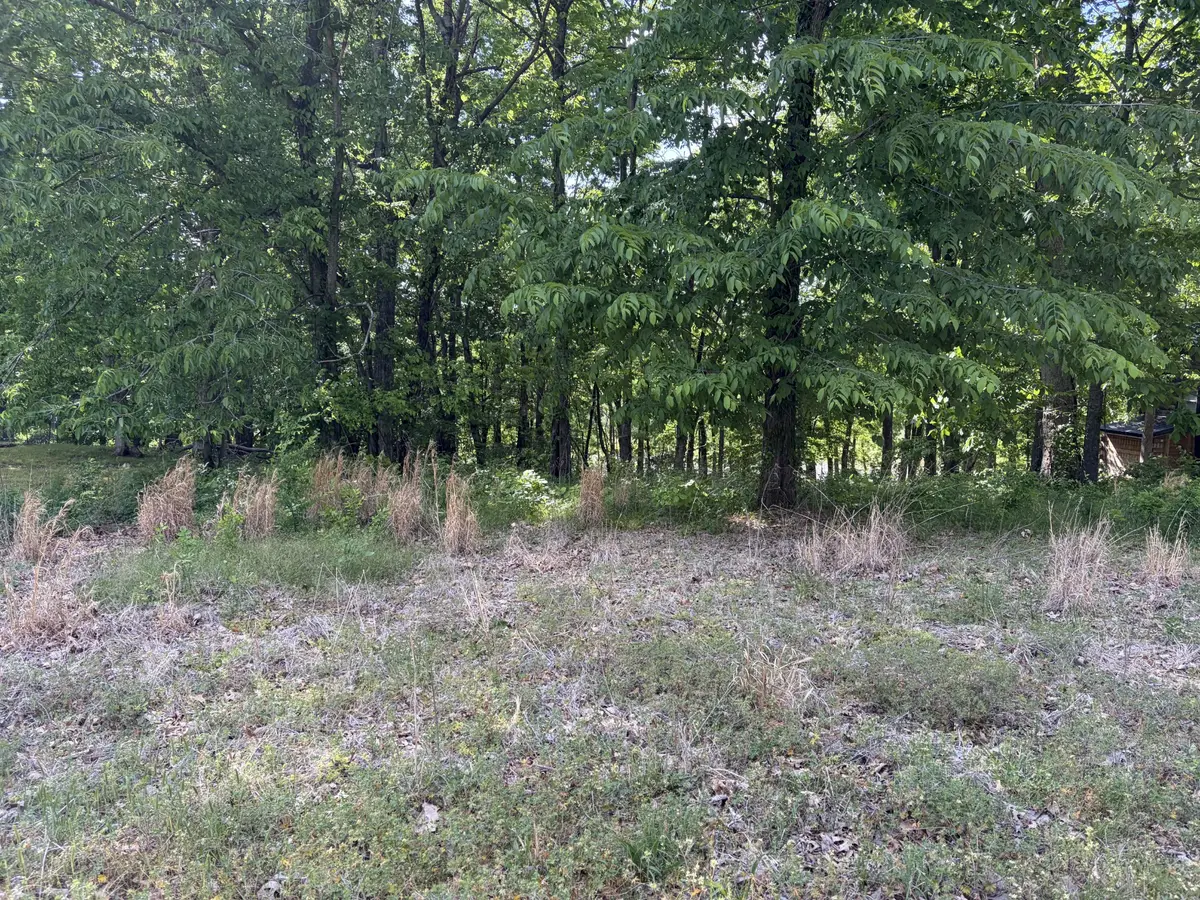 120 Kiki Cove, Clifton, TN 38425 - #1
