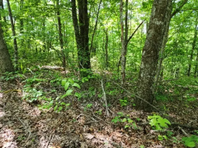 0 Forest Trail Lane, Celina, TN 38551 - #2