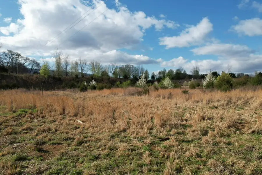 0 Us 411, Benton, TN 37307 - #3