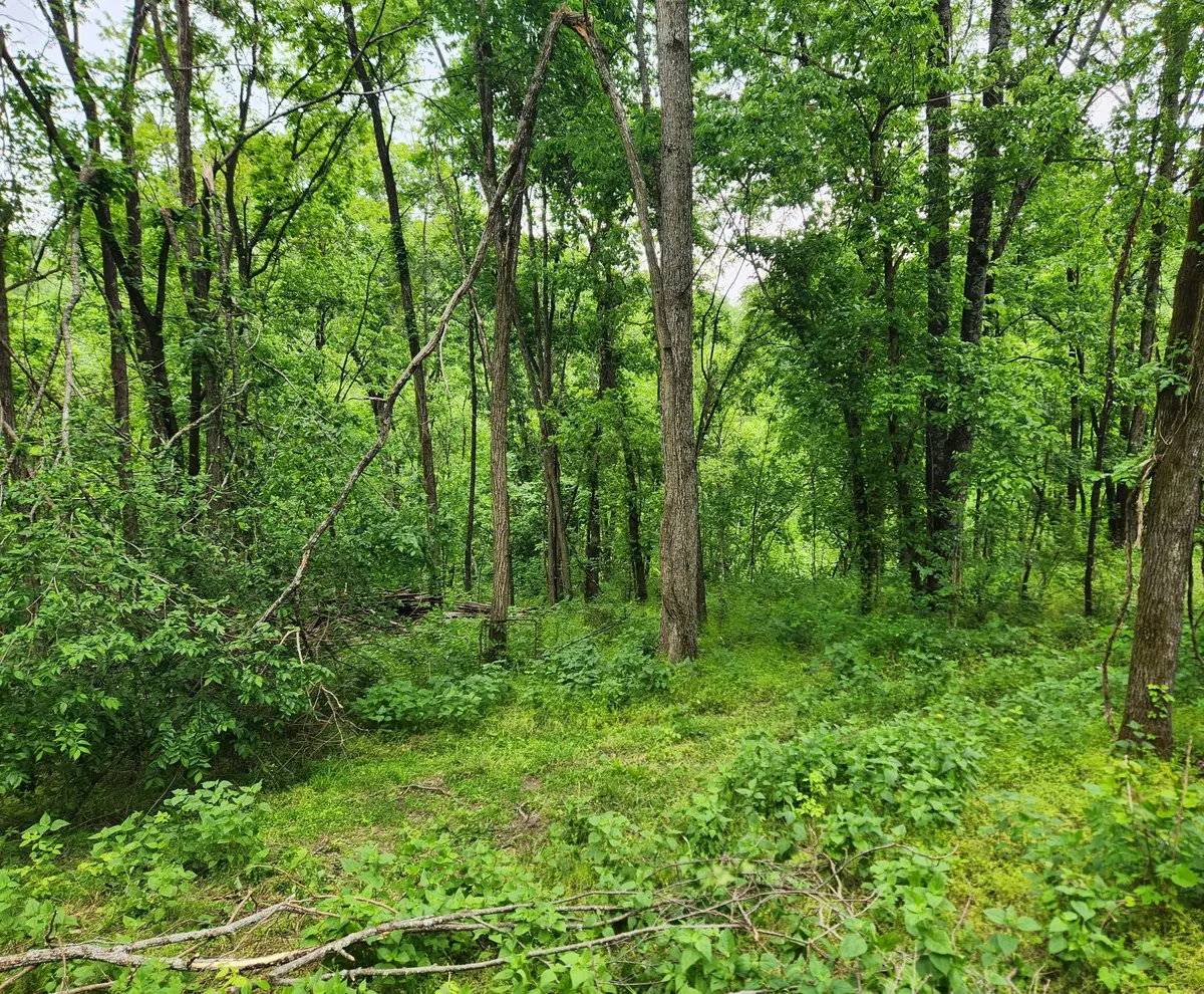 0 Thompson Hill Road, Bethpage, TN 37022 - #1