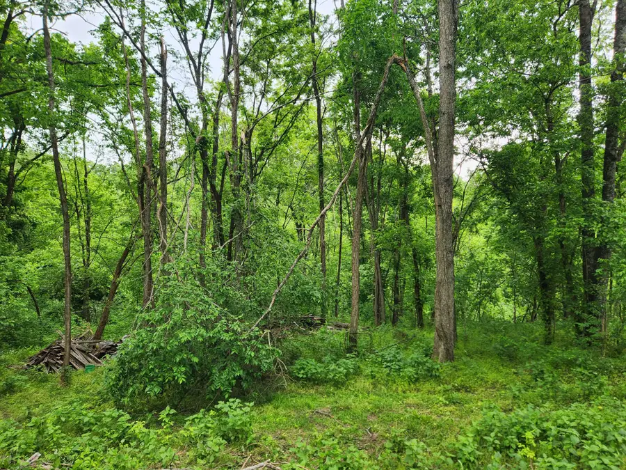0 Thompson Hill Road, Bethpage, TN 37022 - #2