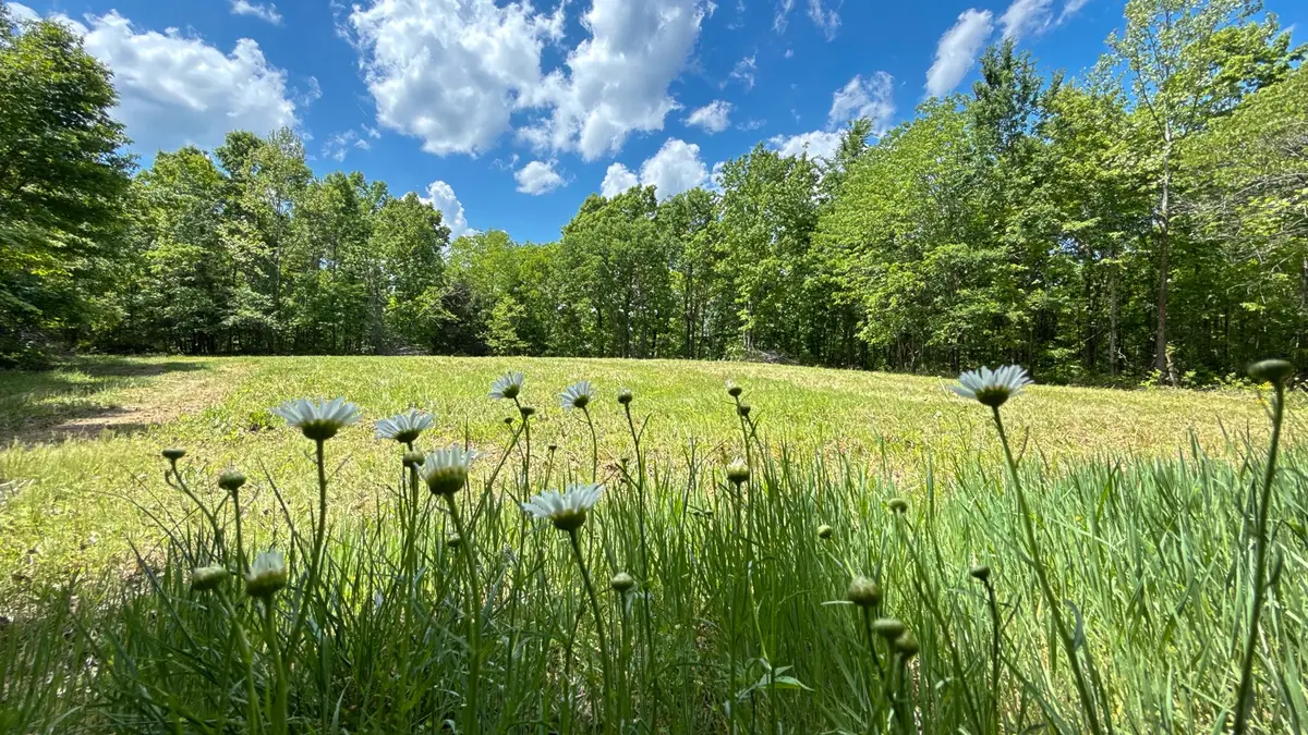 1 Hwy 100, Centerville, TN 37033 - #1