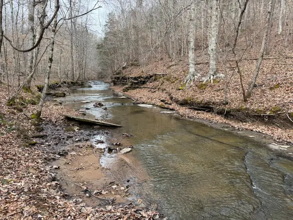 0 Collier Bend Road, Charlotte, TN 37036