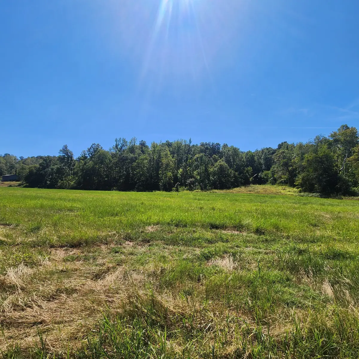 229 Bob Walker Rd, Bumpus Mills, TN 37028 - #1