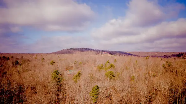 309 Tree House Trail, Dunlap, TN 37327