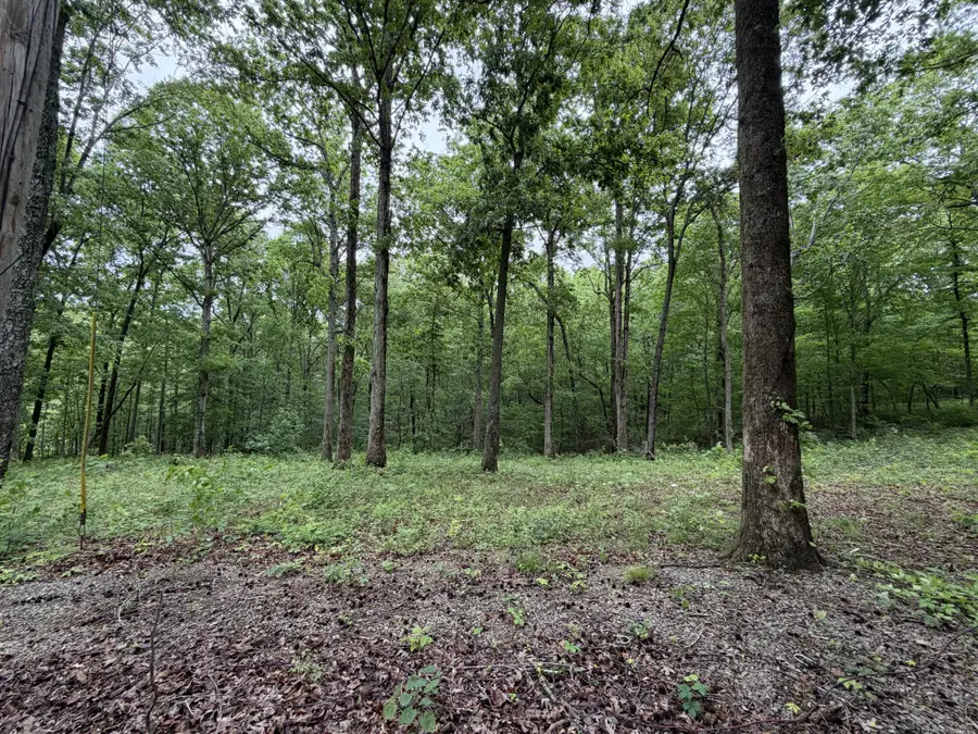 1636 Old Highway 18, Dover, TN 37058 - #3
