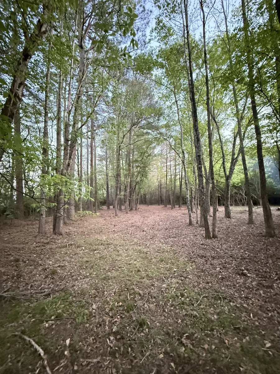0 Flintville Road, Flintville, TN 37335 - #2