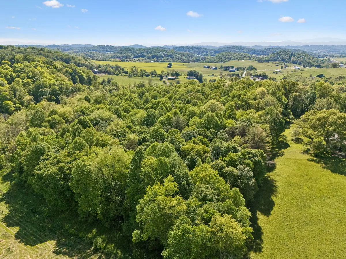 0 Hwy 81, Jonesborough, TN 37659 - #1