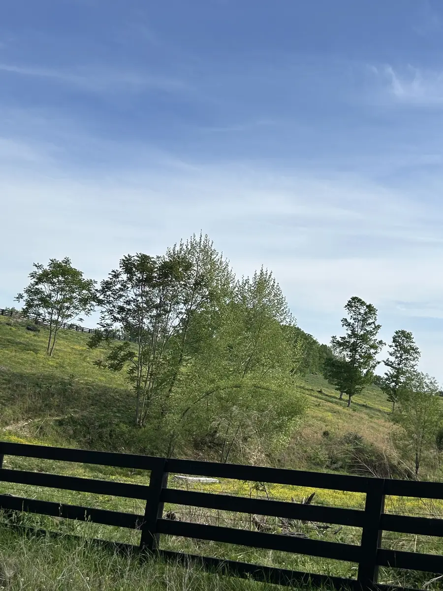 7810 Oscar Green Rd, Primm Springs, TN 38476 - #3