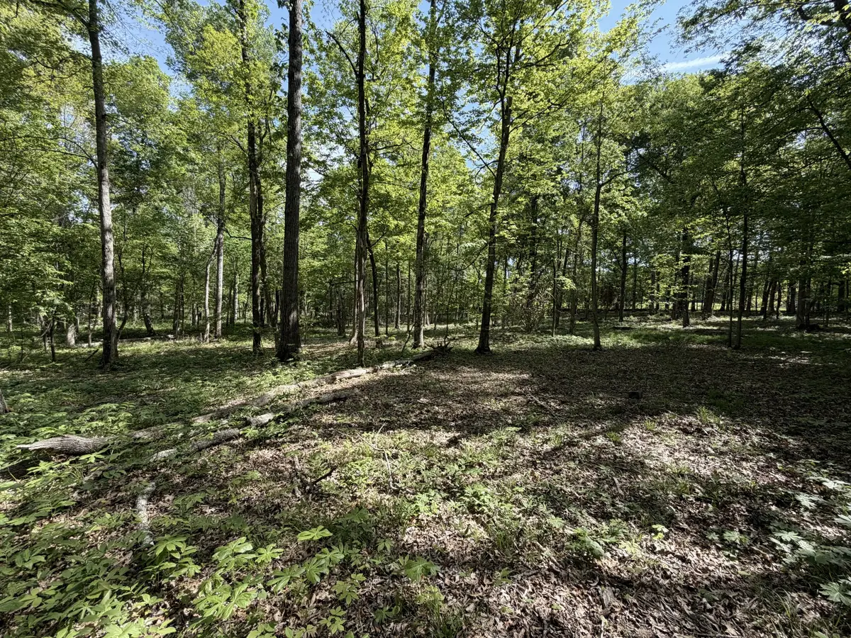 0 Millersburg Road, Christiana, TN 37037 - #1