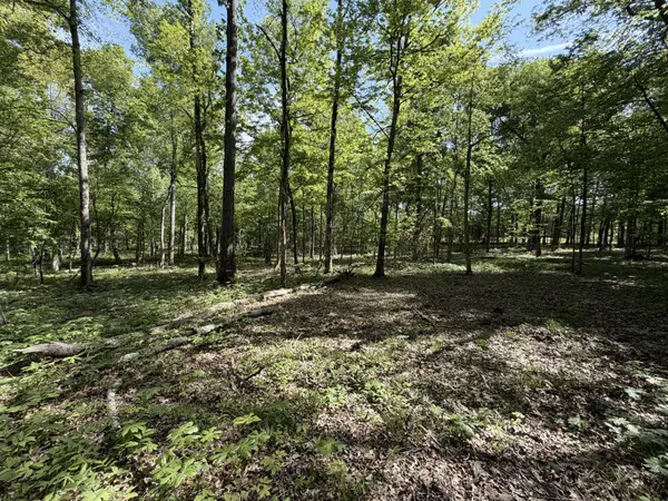 0 Millersburg Road, Christiana, TN 37037