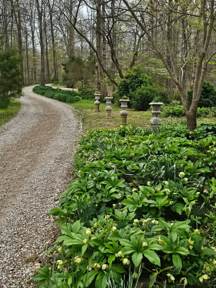 5180 Fire Tower Rd, Franklin, TN 37064 - #2