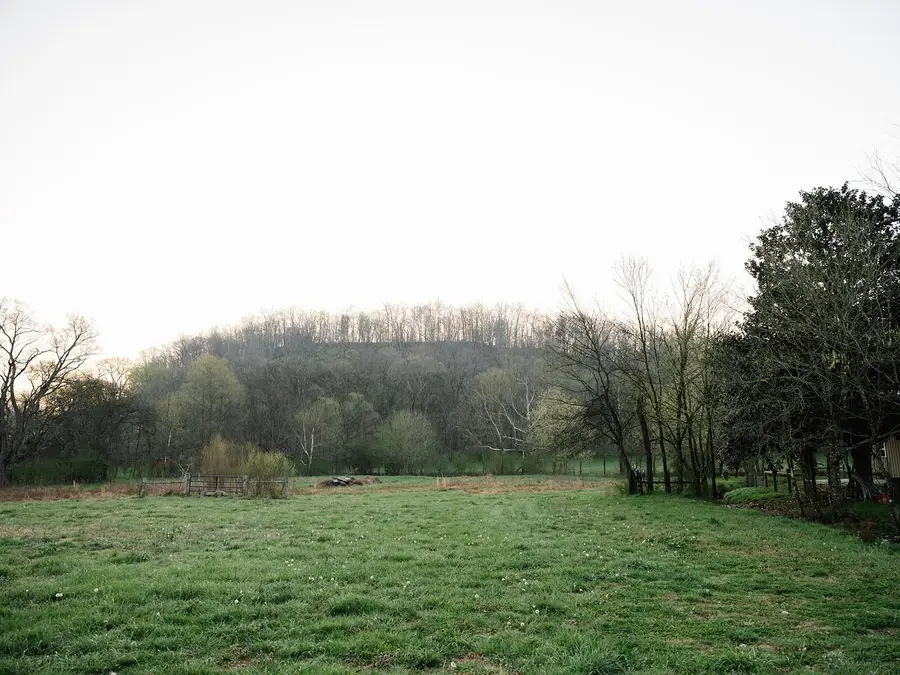 5545 Beech Hill Rd, Pulaski, TN 38478 - #3