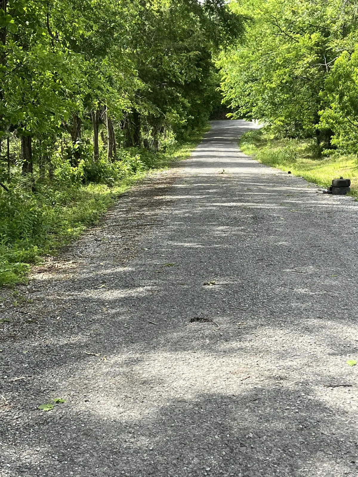 0 Greenfield Estates Drive, Culleoka, TN 38451 - #1