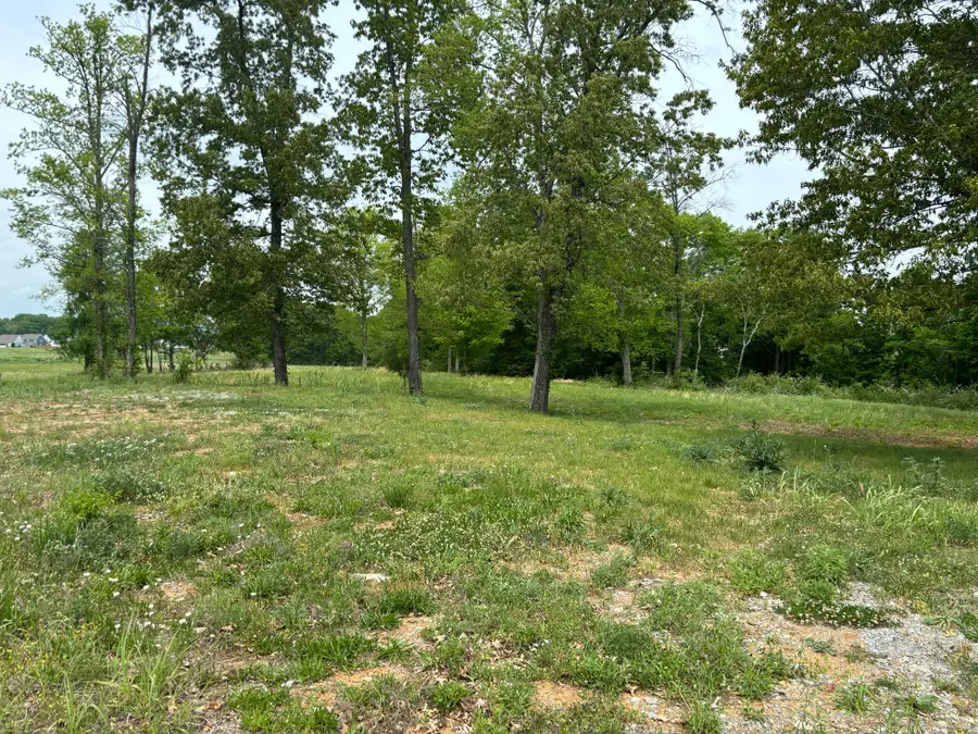 6684 Ocala Rd, Murfreesboro, TN 37128 - #2