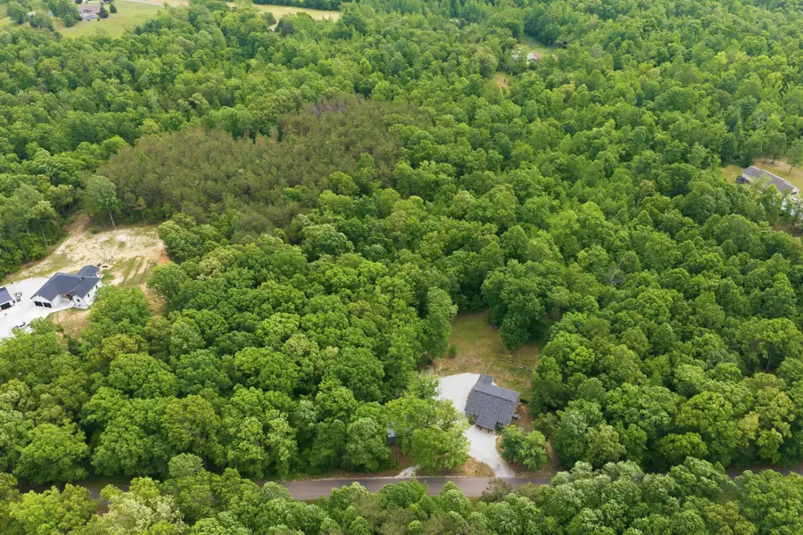 2251 Iron Hill Rd, Parsons, TN 38363 - #2
