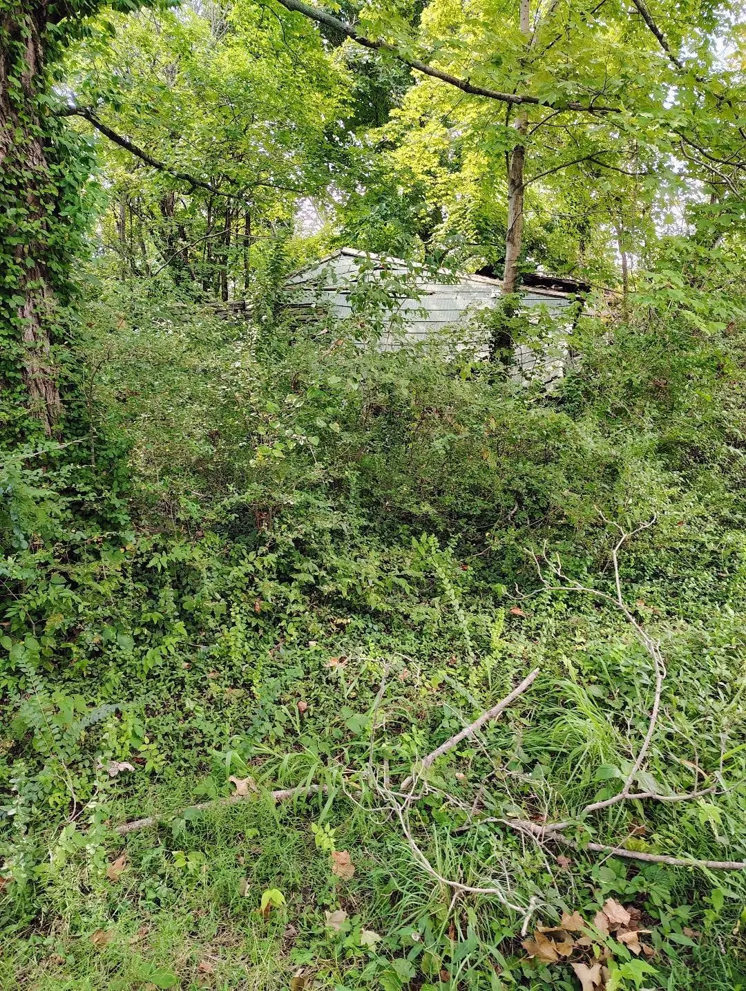 0 Newstead Rd, Hopkinsville, KY 42240 - #1