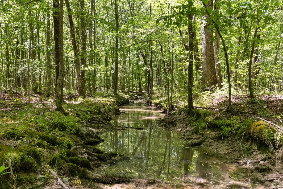 220 Gitty Up Ln, Bradyville, TN 37026 - #1