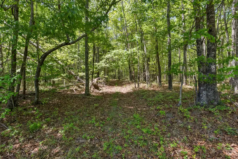 220 Gitty Up Ln, Bradyville, TN 37026 - #3