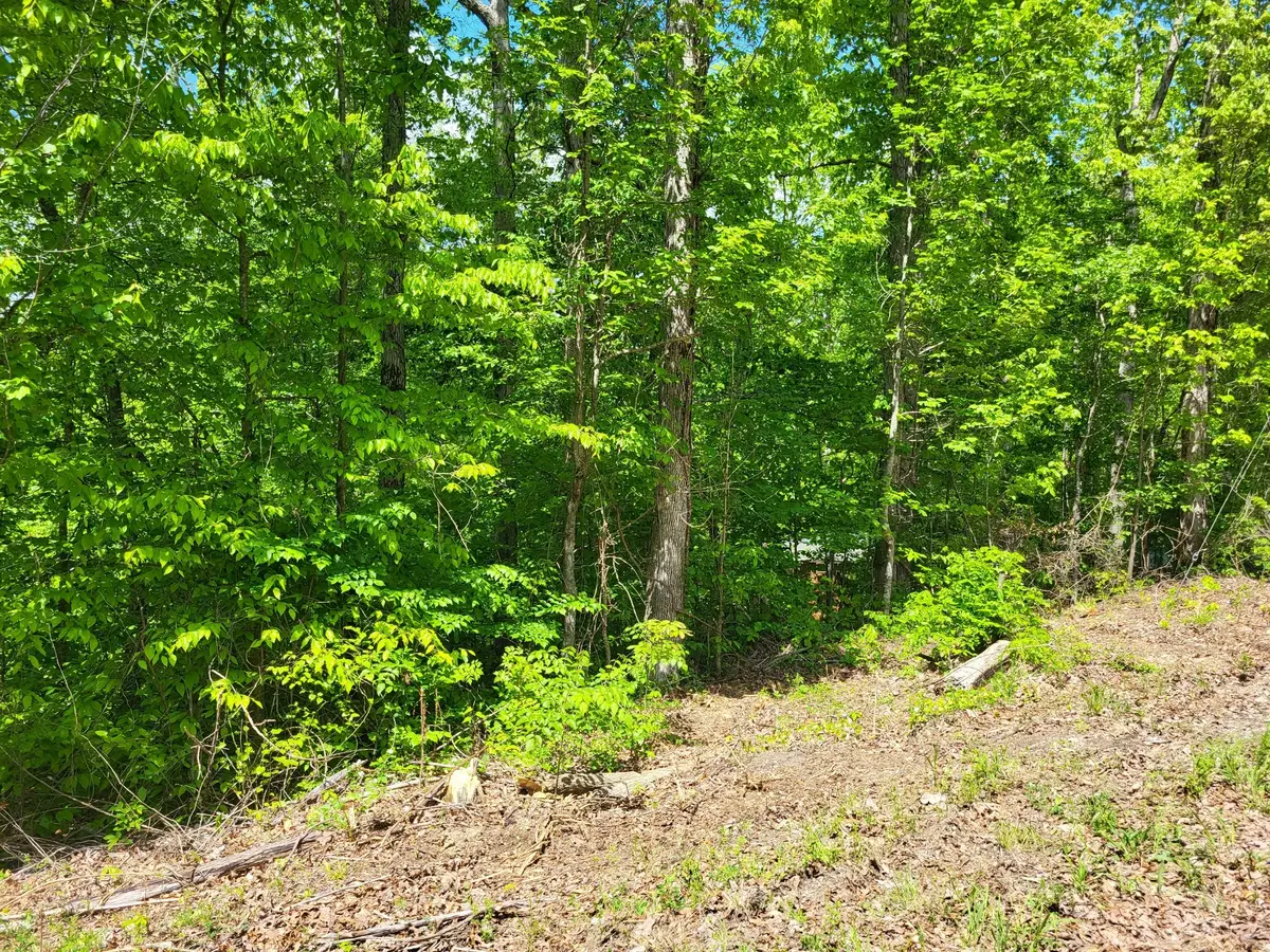 0A Red Ash Rd, Sugar Tree, TN 38380 - #1