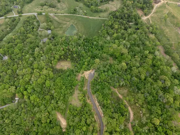 8105 Fox Wander Trail, Arrington, TN 37014