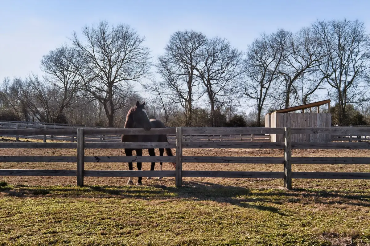 441 Matts Hollow Rd, Manchester, TN 37355 - #1