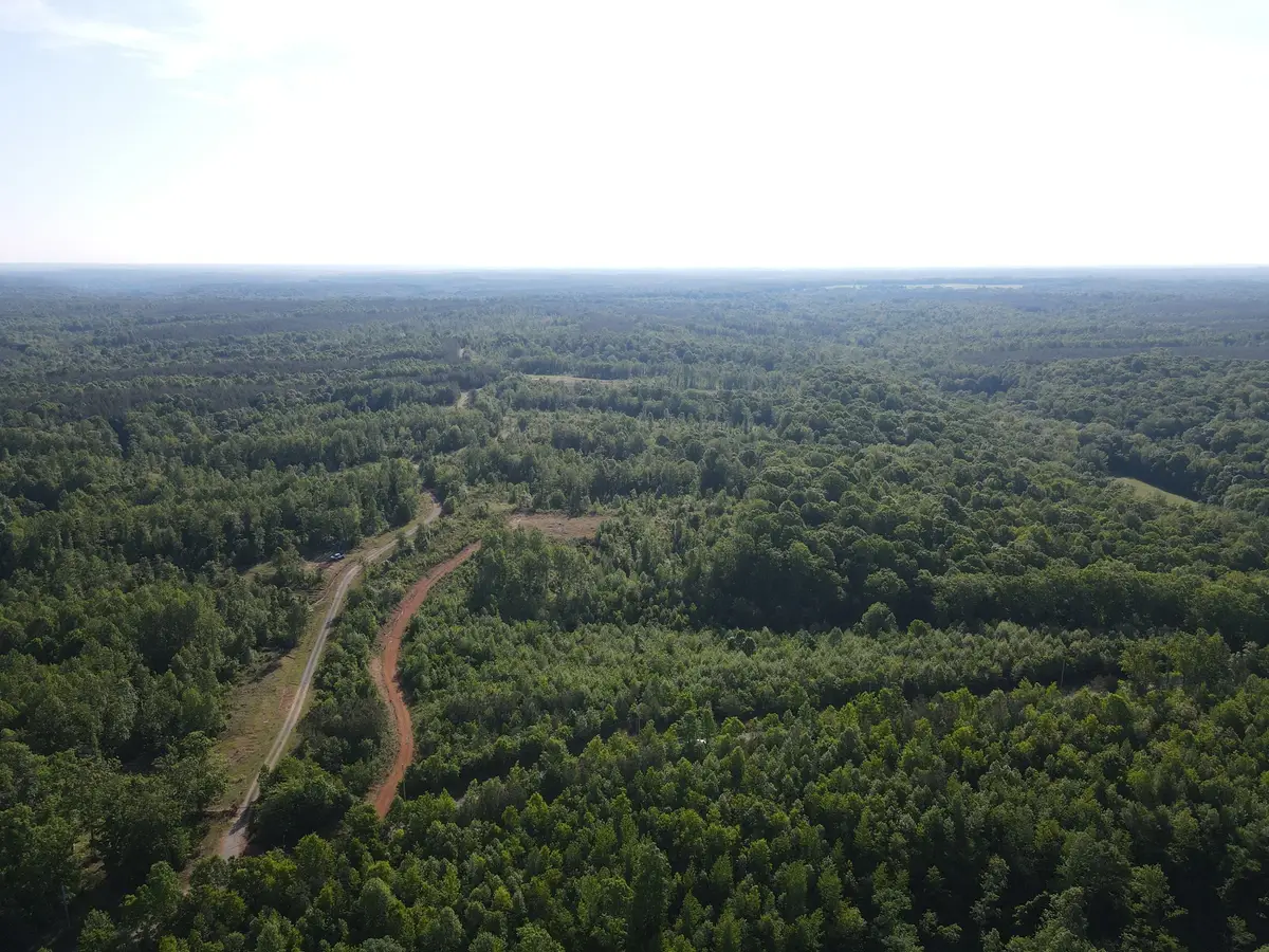 303 Hurricane Creek, Stewart, TN 37175 - #1