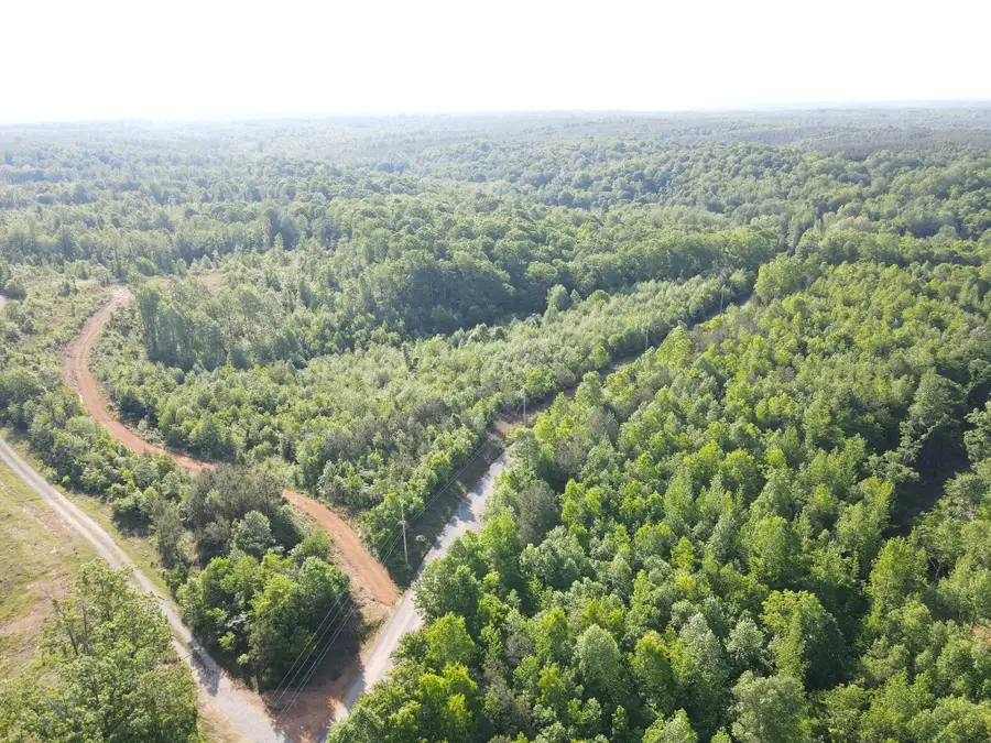 303 Hurricane Creek, Stewart, TN 37175 - #2