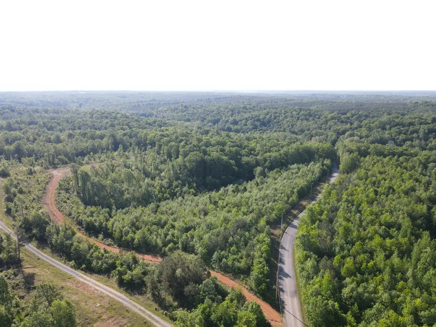 303 Hurricane Creek, Stewart, TN 37175 - #3