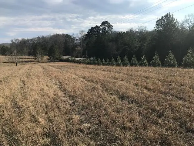 2367 Daugherty Ferry Road, Bakewell, TN 37373 - #2