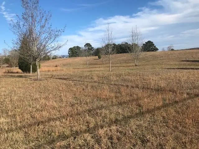 2367 Daugherty Ferry Road, Bakewell, TN 37373 - #3
