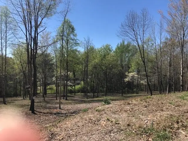18 Piney View, Spring City, TN 37381 - #1