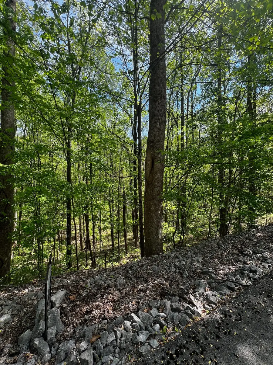 0 Lola Dr, Smithville, TN 37166 - #2