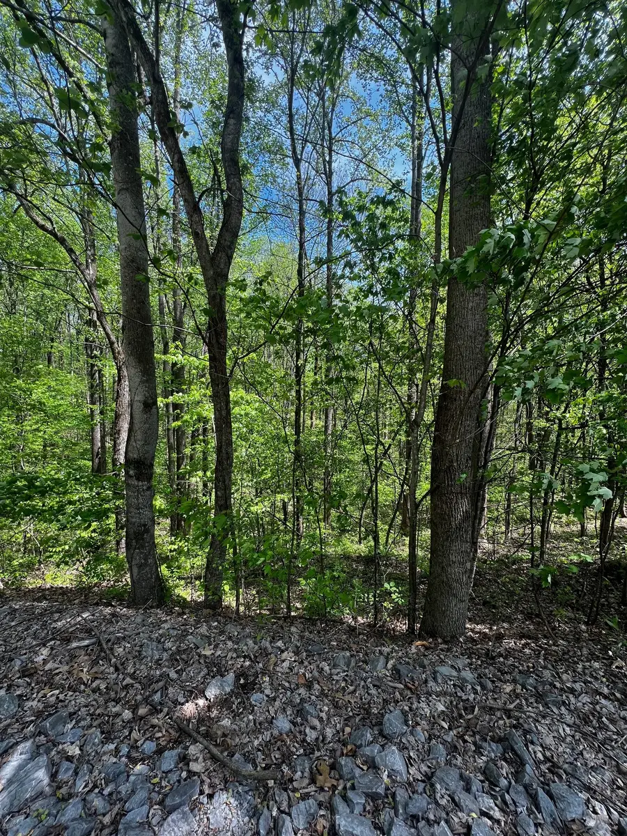 0 Lola Dr, Smithville, TN 37166 - #3