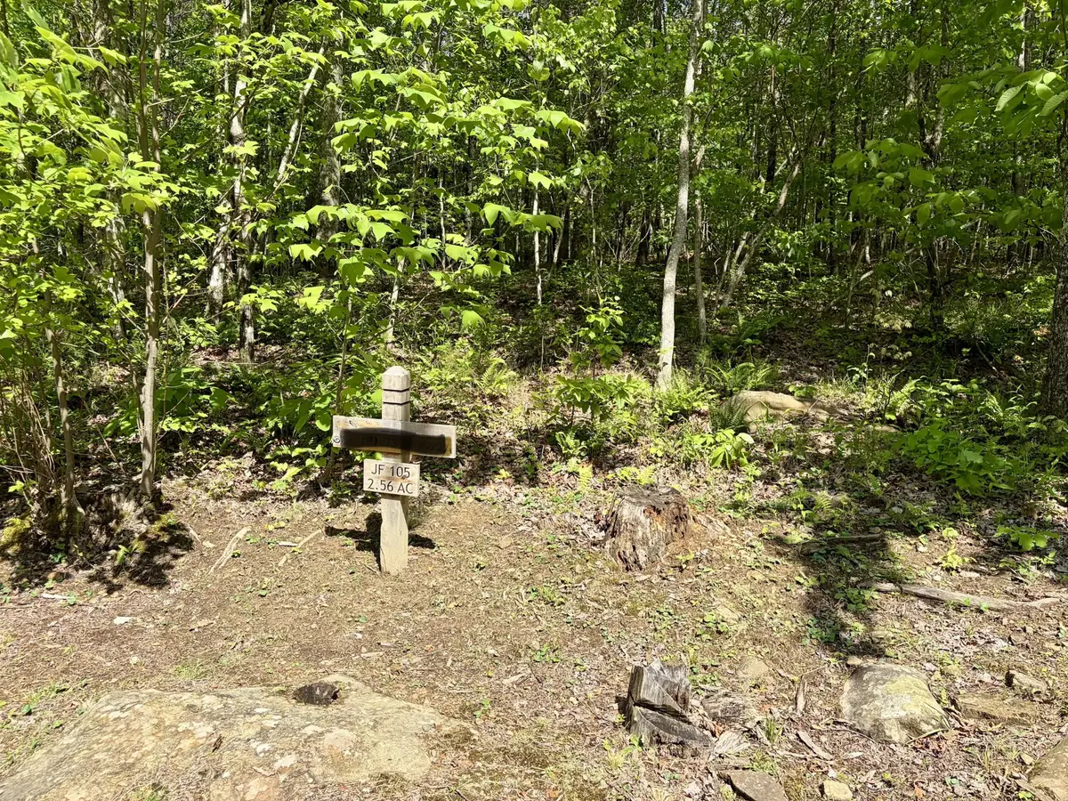 0 Raulston Falls Rd, Jasper, TN 37347 - #1