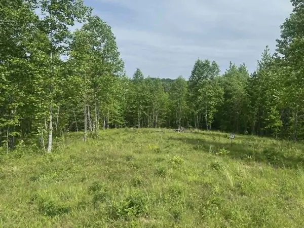 0 Freedom Ridge, Indian Mound, TN 37079