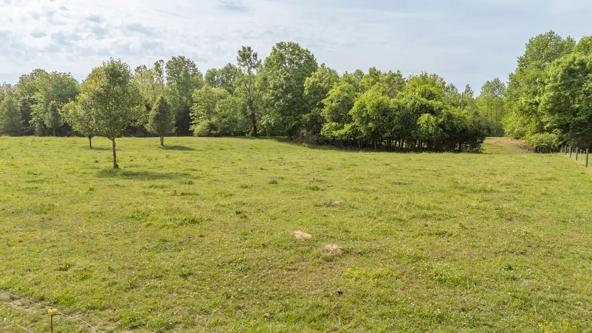 175 Chickasaw Cv, Waynesboro, TN 38485 - #1