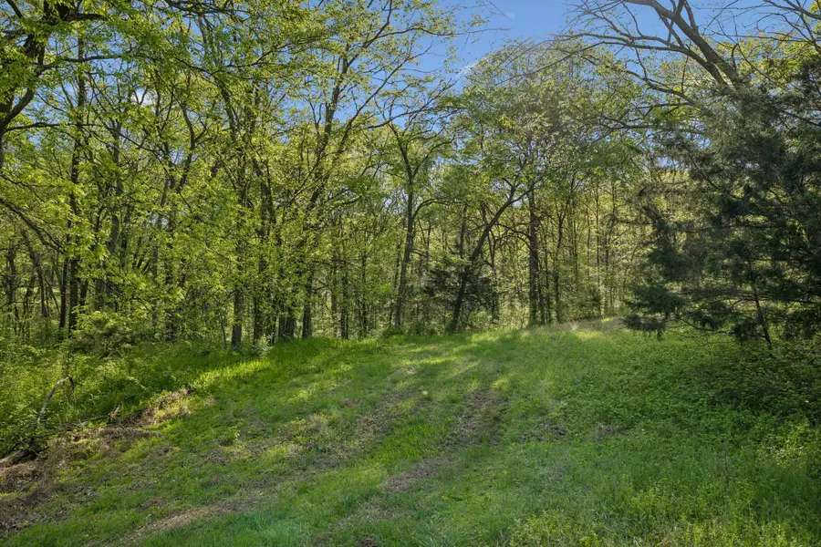 6666 Cross Keys Rd, College Grove, TN 37046 - #2