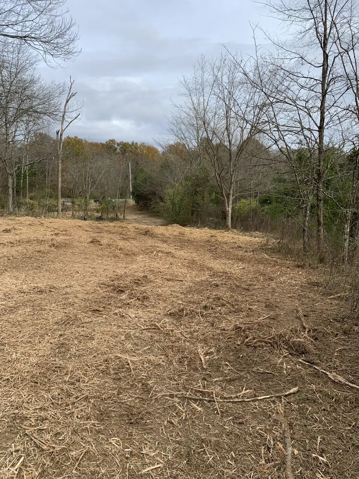0 Plain View, Spring Hill, TN 37174 - #1