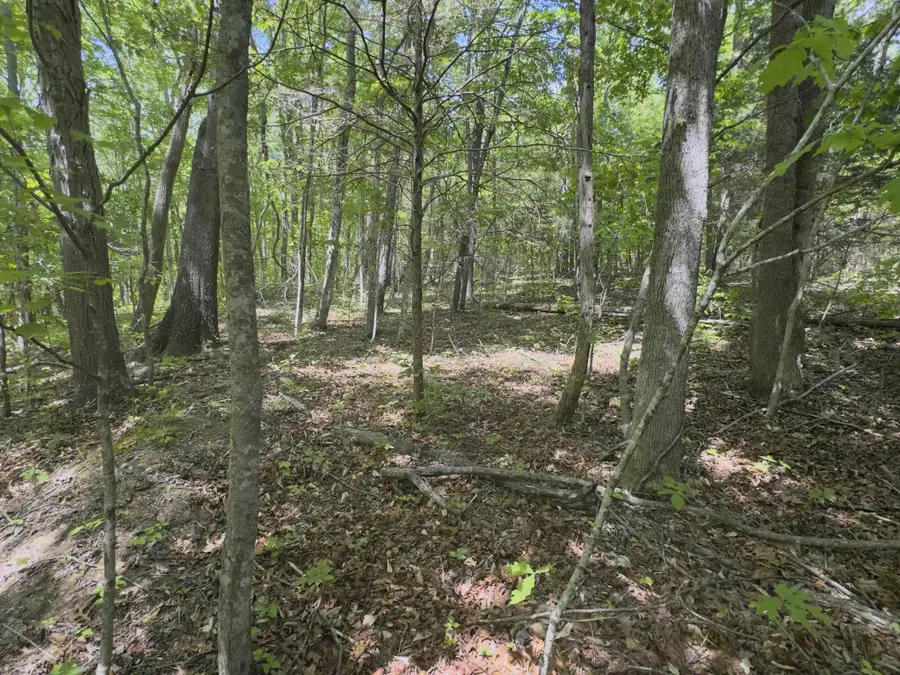 0 Westfork Creek Rd, Westmoreland, TN 37186 - #3