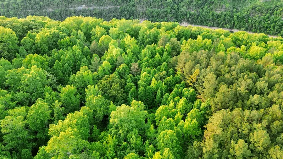 0 Allen Bend Rd, Smithville, TN 37166 - #2