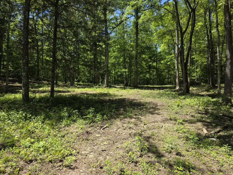 0 Birdsong Rd, Holladay, TN 38341 - #3