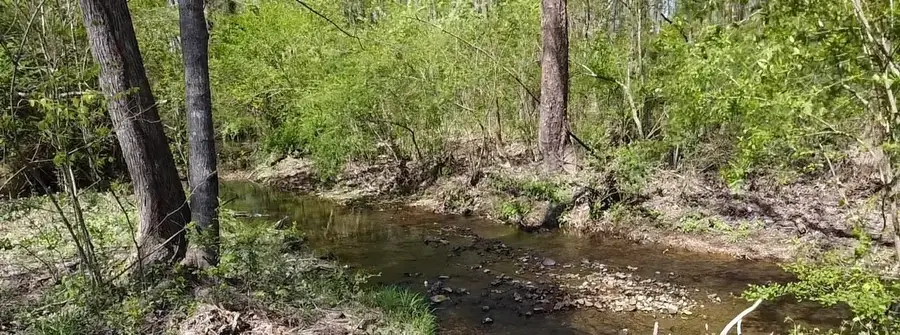 1260 Toy Denny Rd, Bradyville, TN 37026 - #2