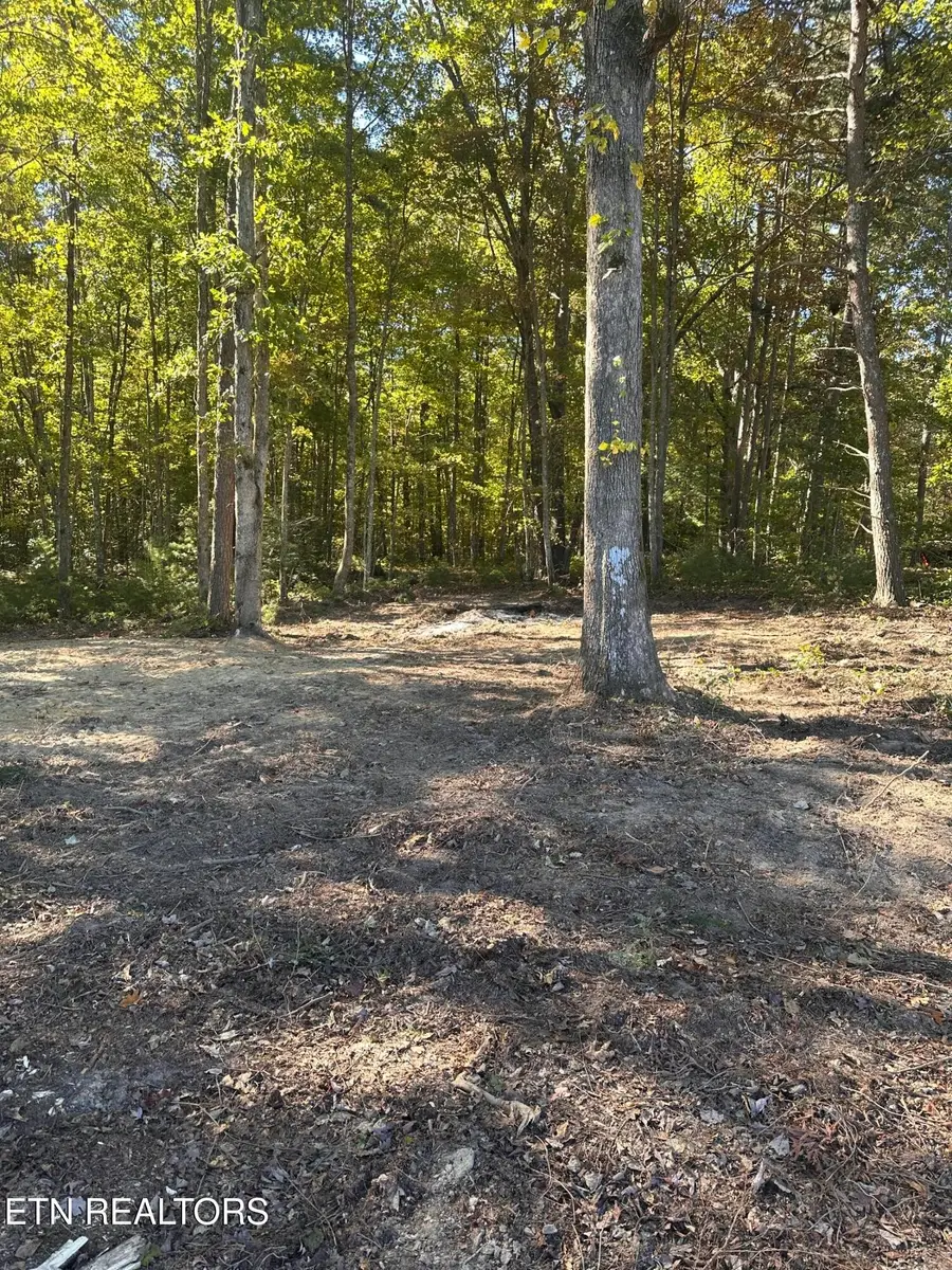 186 Cave Branch Rd, Allardt, TN 38504 - #2