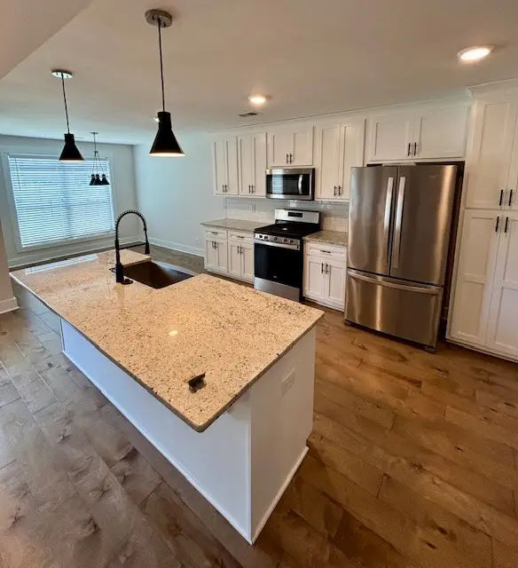905 Frog Gip Pond Ct, Clarksville, TN 37043 - #3