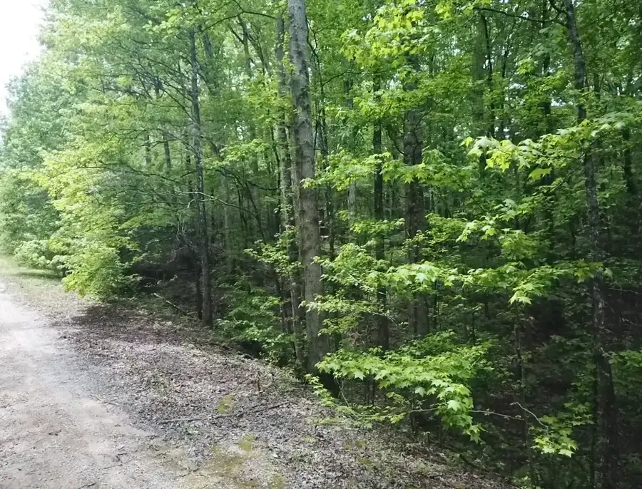 730 Wayne Smith Rd, Saulsbury, TN 38067 - #3