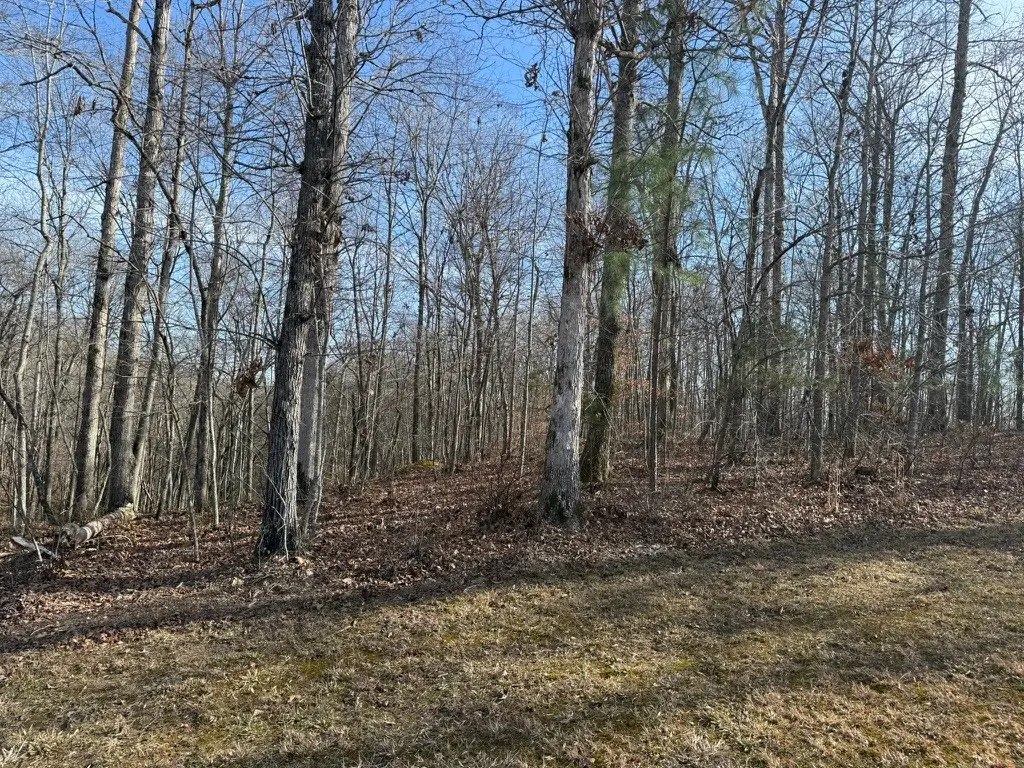 0 Riverwatch Trace, Sparta, TN 38583 - #1