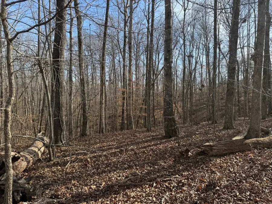 0 Riverwatch Trace, Sparta, TN 38583 - #3