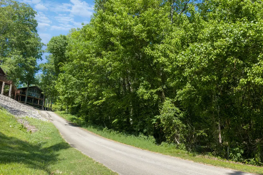 0 Bill Perry Dr, Sugar Tree, TN 38380 - #2